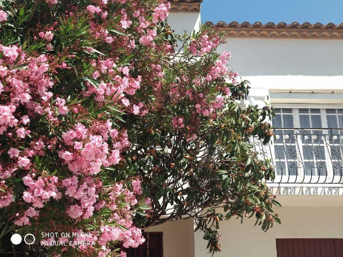 Les Lauriers Roses Apartment Narbonne Exterior photo